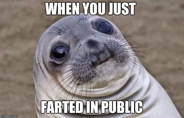 Awkward Moment Sealion | WHEN YOU JUST; FARTED IN PUBLIC | image tagged in memes,awkward moment sealion | made w/ Imgflip meme maker