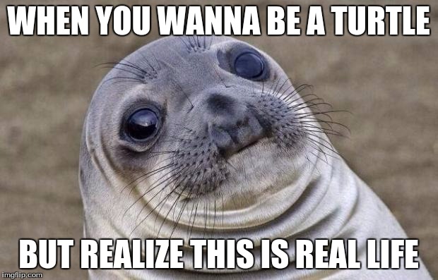 Awkward Moment Sealion | WHEN YOU WANNA BE A TURTLE; BUT REALIZE THIS IS REAL LIFE | image tagged in memes,awkward moment sealion | made w/ Imgflip meme maker