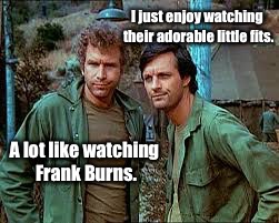 I just enjoy watching their adorable little fits. A lot like watching Frank Burns. | made w/ Imgflip meme maker