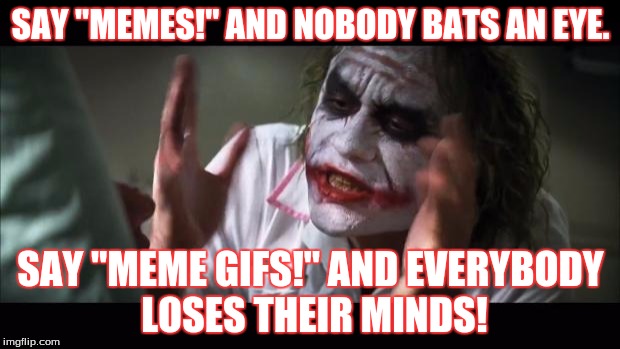 And everybody loses their minds | SAY "MEMES!" AND NOBODY BATS AN EYE. SAY "MEME GIFS!" AND EVERYBODY LOSES THEIR MINDS! | image tagged in memes,and everybody loses their minds | made w/ Imgflip meme maker