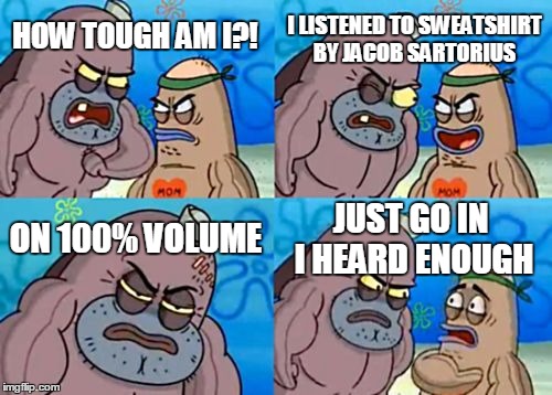 How Tough Are You | I LISTENED TO SWEATSHIRT BY JACOB SARTORIUS; HOW TOUGH AM I?! ON 100% VOLUME; JUST GO IN I HEARD ENOUGH | image tagged in memes,how tough are you | made w/ Imgflip meme maker