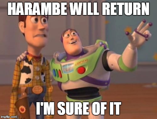 X, X Everywhere | HARAMBE WILL RETURN; I'M SURE OF IT | image tagged in memes,x x everywhere | made w/ Imgflip meme maker