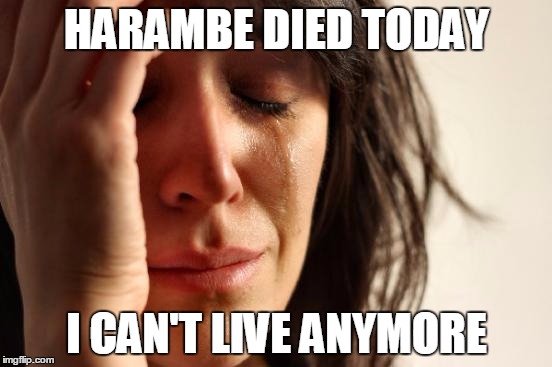 First World Problems | HARAMBE DIED TODAY; I CAN'T LIVE ANYMORE | image tagged in memes,first world problems | made w/ Imgflip meme maker