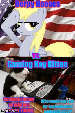 Presidential Race 2020 | Derpy Hooves; VS. Gaming Key Kitten; Comment below on who you vote for TODAY! Who would you vote for in presidential campaign 2020? | image tagged in cat,patriotic derpy hooves,vote for derpy,presidential race | made w/ Imgflip meme maker