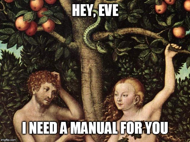 adam and eve | HEY, EVE; I NEED A MANUAL FOR YOU | image tagged in adam and eve | made w/ Imgflip meme maker