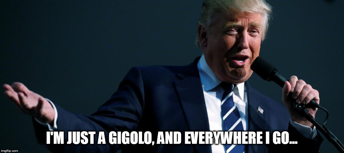 I'm just a gigolo | I'M JUST A GIGOLO, AND EVERYWHERE I GO... | image tagged in i'm just a gigolo | made w/ Imgflip meme maker