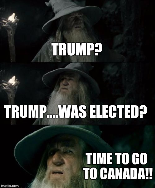 Confused Gandalf Meme | TRUMP? TRUMP....WAS ELECTED? TIME TO GO TO CANADA!! | image tagged in memes,confused gandalf | made w/ Imgflip meme maker