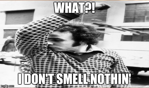 The sniff test | WHAT?! I DON'T SMELL NOTHIN' | image tagged in memes | made w/ Imgflip meme maker