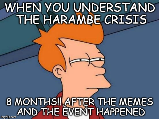 Futurama Fry | WHEN YOU UNDERSTAND THE HARAMBE CRISIS; 8 MONTHS!! AFTER THE MEMES AND THE EVENT HAPPENED | image tagged in memes,futurama fry,killing of harambe,harambe,funny,rip harambe | made w/ Imgflip meme maker