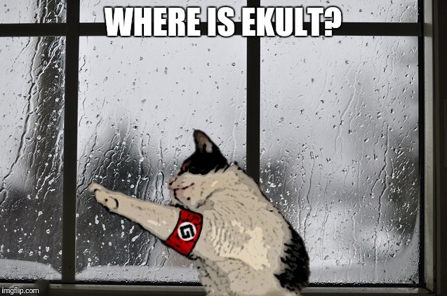 WHERE IS EKULT? | made w/ Imgflip meme maker