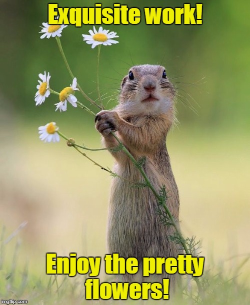 flower squirrel | Exquisite work! Enjoy the pretty flowers! | image tagged in flower squirrel | made w/ Imgflip meme maker