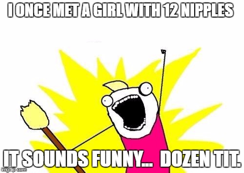 X All The Y | I ONCE MET A GIRL WITH 12 NIPPLES; IT SOUNDS FUNNY... 
DOZEN TIT. | image tagged in memes,x all the y | made w/ Imgflip meme maker