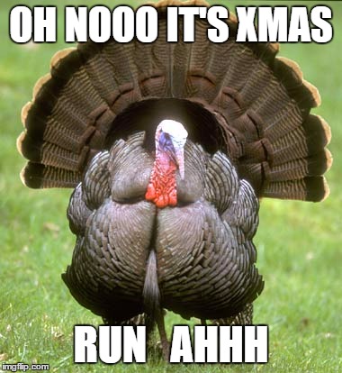 Turkey Meme | OH NOOO IT'S XMAS; RUN   AHHH | image tagged in memes,turkey | made w/ Imgflip meme maker