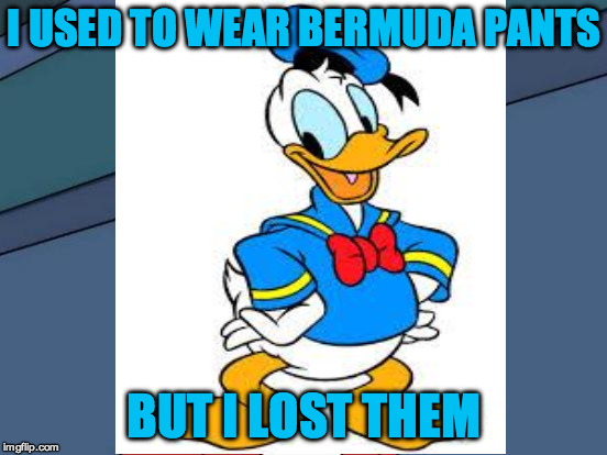 I USED TO WEAR BERMUDA PANTS BUT I LOST THEM | made w/ Imgflip meme maker