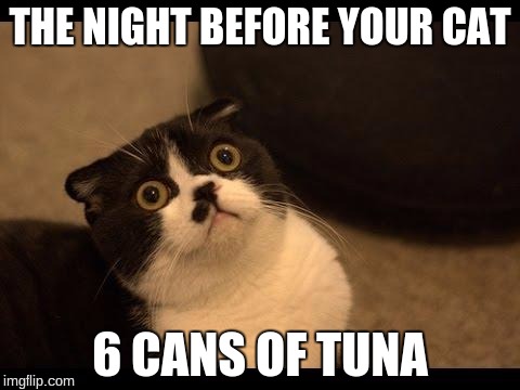 Confused Cats Cake Day | THE NIGHT BEFORE YOUR CAT; 6 CANS OF TUNA | image tagged in confused cats cake day | made w/ Imgflip meme maker