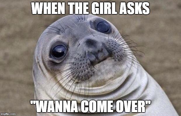 Awkward Moment Sealion | WHEN THE GIRL ASKS; "WANNA COME OVER" | image tagged in awkward moment sealion,that moment when | made w/ Imgflip meme maker