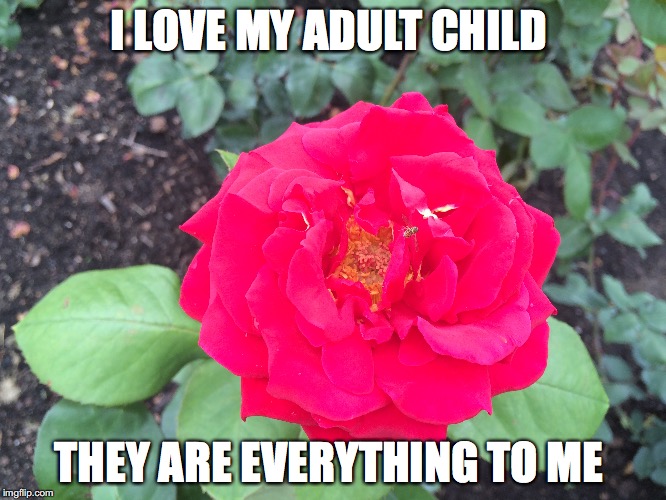 I LOVE MY ADULT CHILD; THEY ARE EVERYTHING TO ME | made w/ Imgflip meme maker