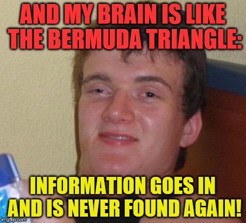 10 Guy Meme | AND MY BRAIN IS LIKE THE BERMUDA TRIANGLE: INFORMATION GOES IN AND IS NEVER FOUND AGAIN! | image tagged in memes,10 guy | made w/ Imgflip meme maker
