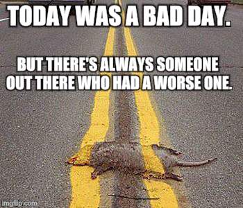 Not My Job | TODAY WAS A BAD DAY. BUT THERE'S ALWAYS SOMEONE OUT THERE WHO HAD A WORSE ONE. | image tagged in not my job | made w/ Imgflip meme maker