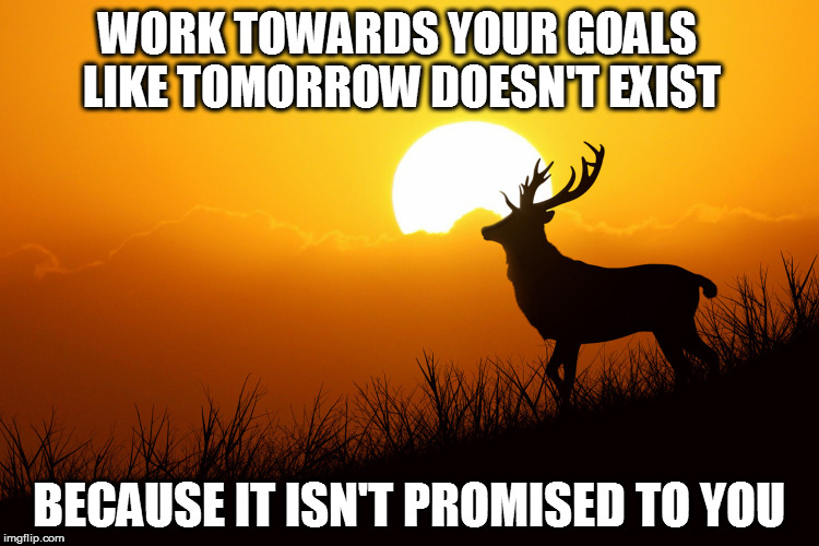 Dedication | WORK TOWARDS YOUR GOALS LIKE TOMORROW DOESN'T EXIST; BECAUSE IT ISN'T PROMISED TO YOU | image tagged in life,life goals,hard work,determination,dreams,aspiration | made w/ Imgflip meme maker
