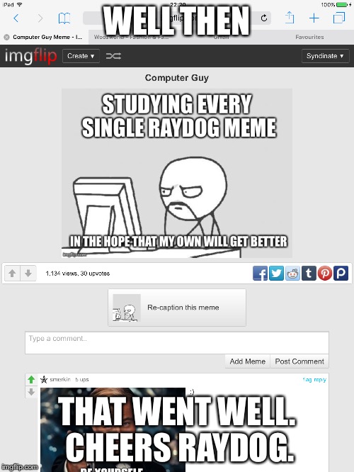 WELL THEN; THAT WENT WELL. CHEERS RAYDOG. | image tagged in memes,bad luck raydog | made w/ Imgflip meme maker