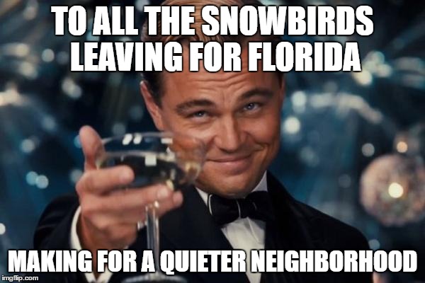 Leonardo Dicaprio Cheers Meme | TO ALL THE SNOWBIRDS LEAVING FOR FLORIDA; MAKING FOR A QUIETER NEIGHBORHOOD | image tagged in memes,leonardo dicaprio cheers | made w/ Imgflip meme maker