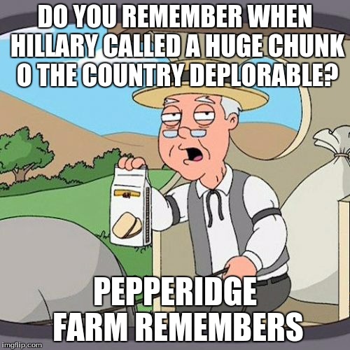 Pepperidge Farm Remembers | DO YOU REMEMBER WHEN HILLARY CALLED A HUGE CHUNK O THE COUNTRY DEPLORABLE? PEPPERIDGE FARM REMEMBERS | image tagged in memes,pepperidge farm remembers | made w/ Imgflip meme maker