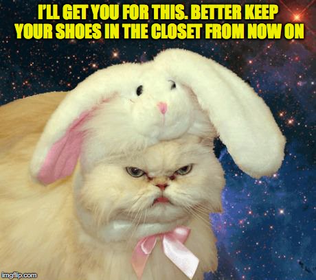 Hopping Mad | I’LL GET YOU FOR THIS. BETTER KEEP YOUR SHOES IN THE CLOSET FROM NOW ON | image tagged in grumpy cat | made w/ Imgflip meme maker