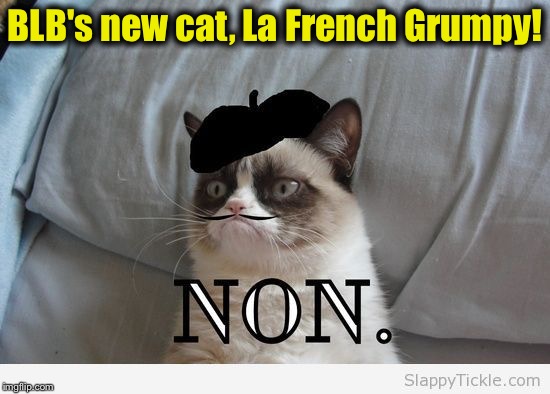 BLB's new cat, La French Grumpy! | made w/ Imgflip meme maker