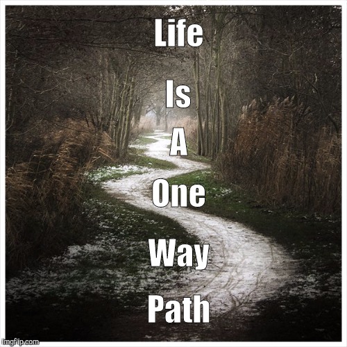 Life | Life; Is; A; One; Way; Path | image tagged in real life,life | made w/ Imgflip meme maker