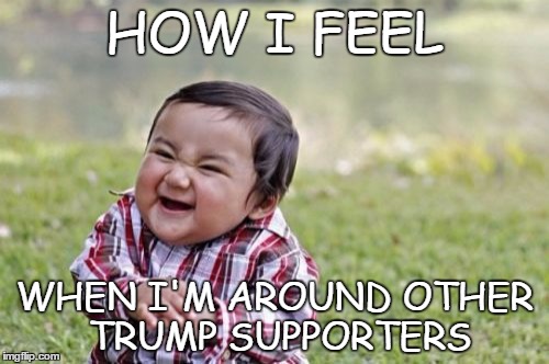 Evil Toddler Meme | HOW I FEEL; WHEN I'M AROUND OTHER TRUMP SUPPORTERS | image tagged in memes,evil toddler | made w/ Imgflip meme maker