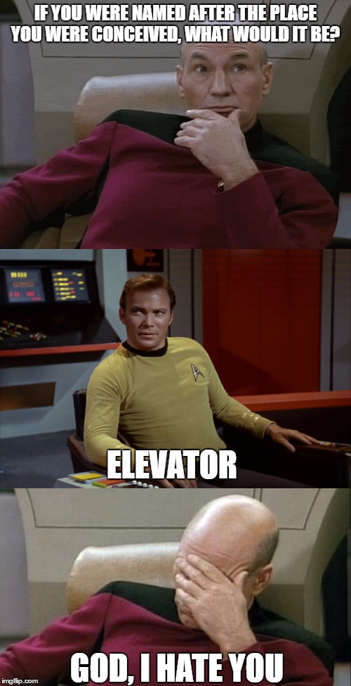 Picard Kirk Tribbles Faceplant | IF YOU WERE NAMED AFTER THE PLACE YOU WERE CONCEIVED, WHAT WOULD IT BE? ELEVATOR; GOD, I HATE YOU | image tagged in picard kirk tribbles faceplant | made w/ Imgflip meme maker