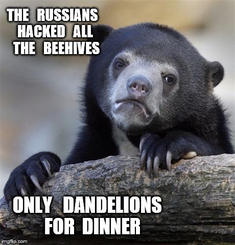 Confession Bear | THE   RUSSIANS  HACKED   ALL   THE   BEEHIVES; ONLY   DANDELIONS
  FOR  DINNER | image tagged in memes,confession bear | made w/ Imgflip meme maker