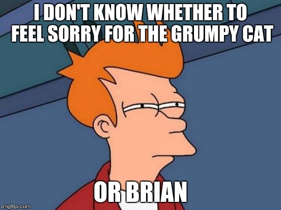 Futurama Fry Meme | I DON'T KNOW WHETHER TO FEEL SORRY FOR THE GRUMPY CAT OR BRIAN | image tagged in memes,futurama fry | made w/ Imgflip meme maker