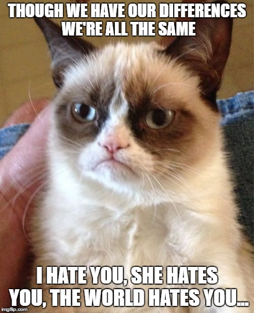 Grumpy Cat | THOUGH WE HAVE OUR DIFFERENCES WE'RE ALL THE SAME; I HATE YOU, SHE HATES YOU, THE WORLD HATES YOU... | image tagged in memes,grumpy cat | made w/ Imgflip meme maker