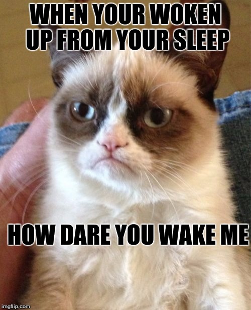 Grumpy Cat Meme | WHEN YOUR WOKEN UP FROM YOUR SLEEP; HOW DARE YOU WAKE ME | image tagged in memes,grumpy cat | made w/ Imgflip meme maker