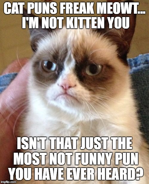 Grumpy Cat | CAT PUNS FREAK MEOWT... I'M NOT KITTEN YOU; ISN'T THAT JUST THE MOST NOT FUNNY PUN YOU HAVE EVER HEARD? | image tagged in memes,grumpy cat | made w/ Imgflip meme maker