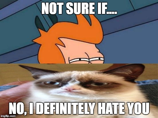 Futurama Fry | NOT SURE IF.... NO, I DEFINITELY HATE YOU | image tagged in memes,futurama fry | made w/ Imgflip meme maker