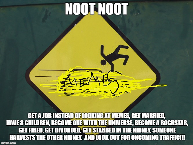 Don't Get Hit | NOOT NOOT; GET A JOB INSTEAD OF LOOKING AT MEMES, GET MARRIED, HAVE 3 CHILDREN, BECOME ONE WITH THE UNIVERSE, BECOME A ROCKSTAR, GET FIRED, GET DIVORCED, GET STABBED IN THE KIDNEY, SOMEONE HARVESTS THE OTHER KIDNEY,  AND LOOK OUT FOR ONCOMING TRAFFIC!!! | image tagged in don't get hit | made w/ Imgflip meme maker