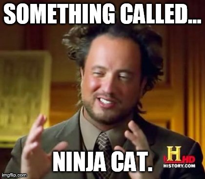 SOMETHING CALLED... NINJA CAT. | image tagged in memes,ancient aliens | made w/ Imgflip meme maker