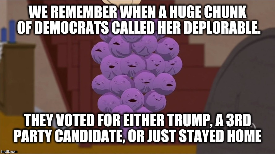 Member Berries Meme | WE REMEMBER WHEN A HUGE CHUNK OF DEMOCRATS CALLED HER DEPLORABLE. THEY VOTED FOR EITHER TRUMP, A 3RD PARTY CANDIDATE, OR JUST STAYED HOME | image tagged in memes,member berries | made w/ Imgflip meme maker