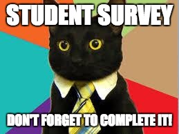 Cat Tie | STUDENT SURVEY; DON'T FORGET TO COMPLETE IT! | image tagged in cat tie | made w/ Imgflip meme maker