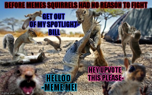 A very special meme to me right here! | BEFORE MEMES SQUIRRELS HAD NO REASON TO FIGHT; GET OUT OF MY SPOTLIGHT- BILL; HEY UPVOTE THIS PLEASE-; HELLOO -MEME ME! | image tagged in super birthday squirrel,wookie riding a squirrel killing nazis your argument is invalid | made w/ Imgflip meme maker