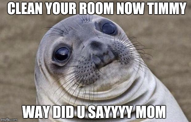 Awkward Moment Sealion Meme | CLEAN YOUR ROOM NOW TIMMY; WAY DID U SAYYYY MOM | image tagged in memes,awkward moment sealion | made w/ Imgflip meme maker