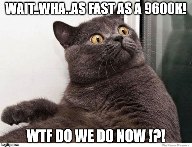 Cat WTF | WAIT..WHA..AS FAST AS A 9600K! WTF DO WE DO NOW !?! | image tagged in cat wtf | made w/ Imgflip meme maker