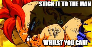 STICK IT TO THE MAN; WHILST YOU CAN! | image tagged in dbz | made w/ Imgflip meme maker