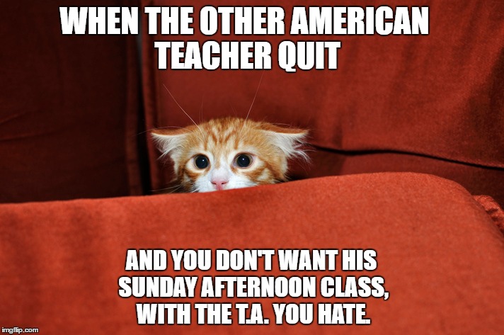 scared kitten | WHEN THE OTHER AMERICAN TEACHER QUIT; AND YOU DON'T WANT HIS SUNDAY AFTERNOON CLASS, WITH THE T.A. YOU HATE. | image tagged in kitty,cat,kitten,scared,job | made w/ Imgflip meme maker