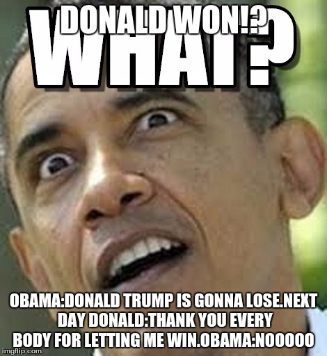 DONALD WON!? OBAMA:DONALD TRUMP IS GONNA LOSE.NEXT DAY DONALD:THANK YOU EVERY BODY FOR LETTING ME WIN.OBAMA:NOOOOO | image tagged in trumpvsobama | made w/ Imgflip meme maker