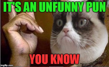 IT'S AN UNFUNNY PUN YOU KNOW | made w/ Imgflip meme maker