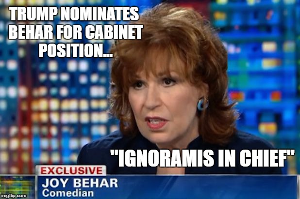 Joy Behar | TRUMP NOMINATES BEHAR FOR CABINET POSITION... "IGNORAMIS IN CHIEF" | image tagged in joy behar | made w/ Imgflip meme maker
